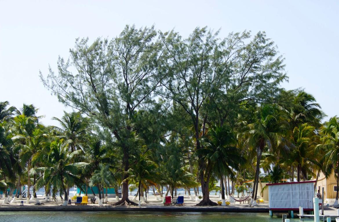 דאנגריגה Blue Marlin Beach Resort מראה חיצוני תמונה