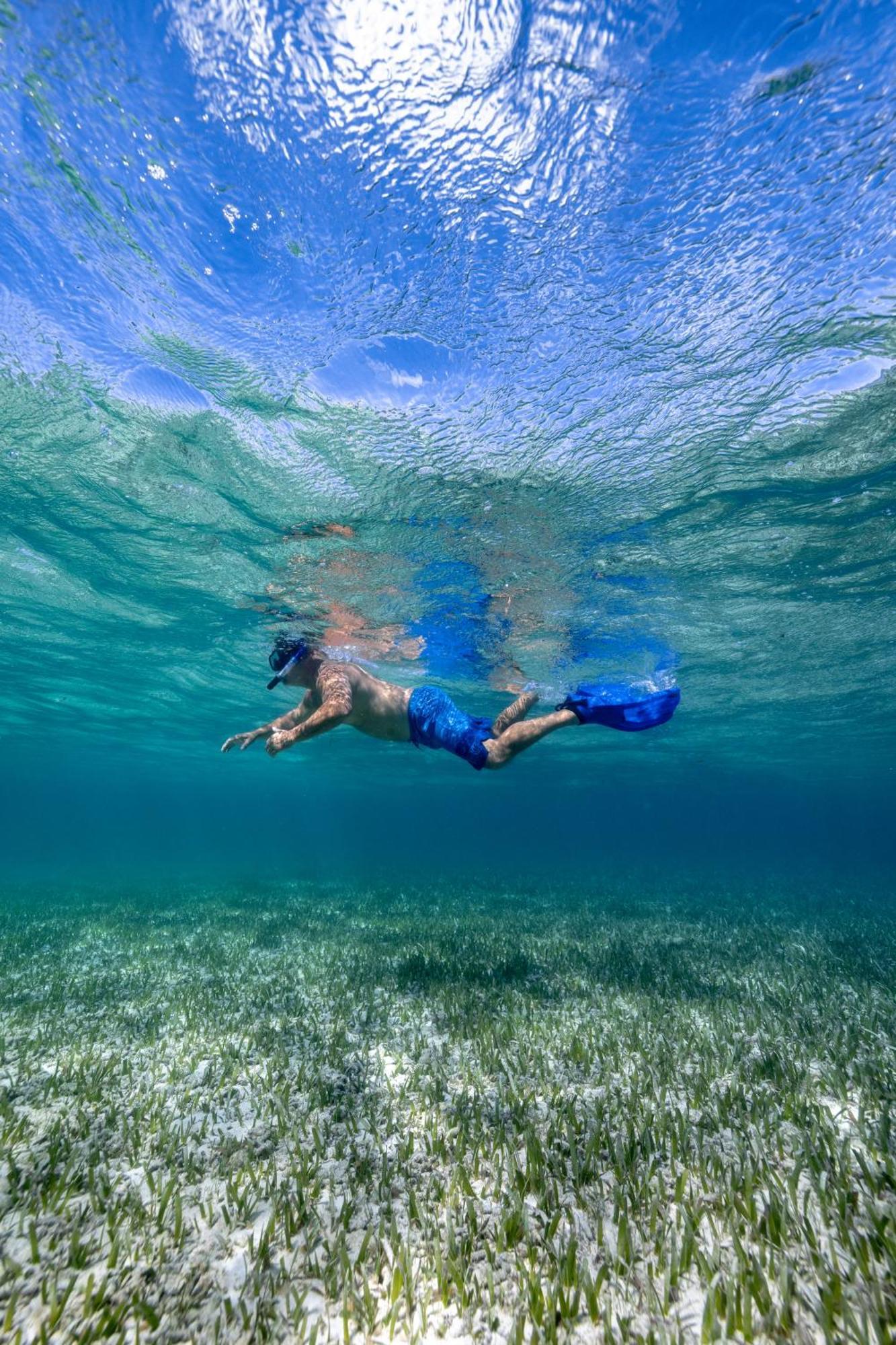 דאנגריגה Blue Marlin Beach Resort מראה חיצוני תמונה