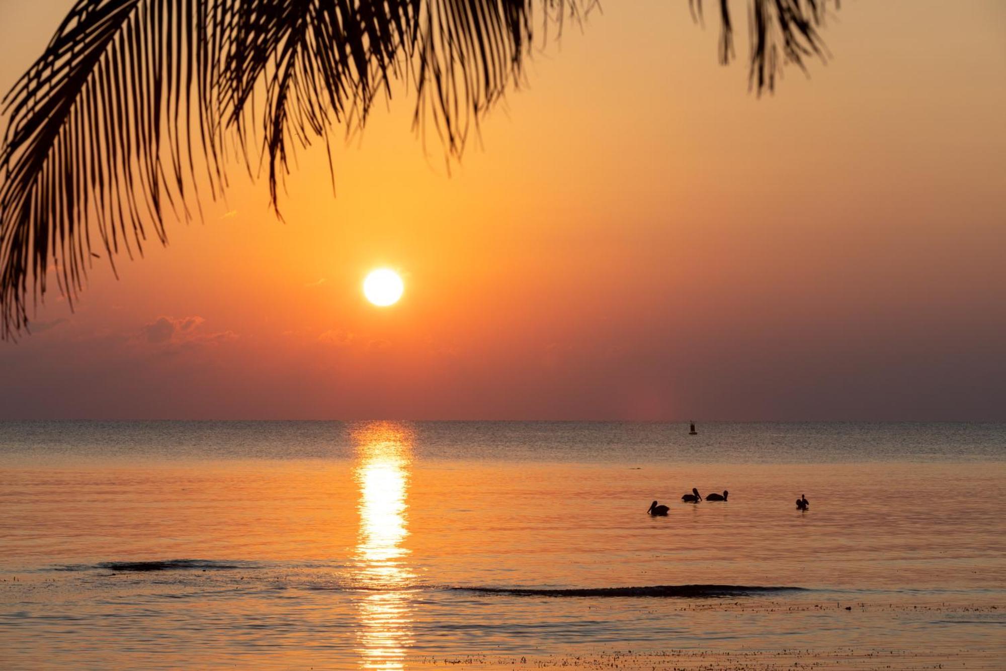 דאנגריגה Blue Marlin Beach Resort מראה חיצוני תמונה